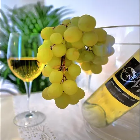 Via Porto Pensjonat 4*