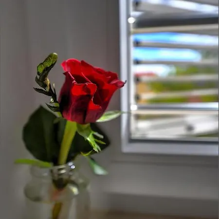 Via Porto Pensjonat 4*