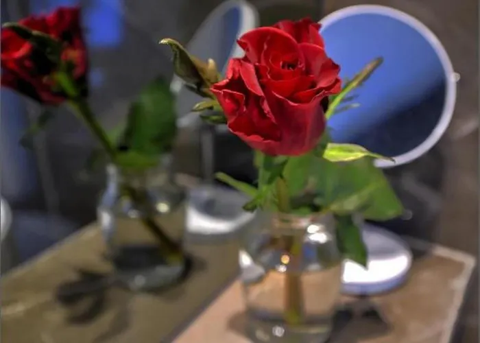 Via Porto ゲストハウス